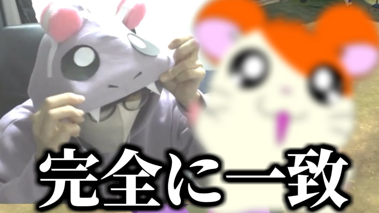 タマザラシになれると思ったらネズミの化け物にしかなれなかった男【ごまちゃん切り抜き】【ポケモンLEGENDSアルセウス】