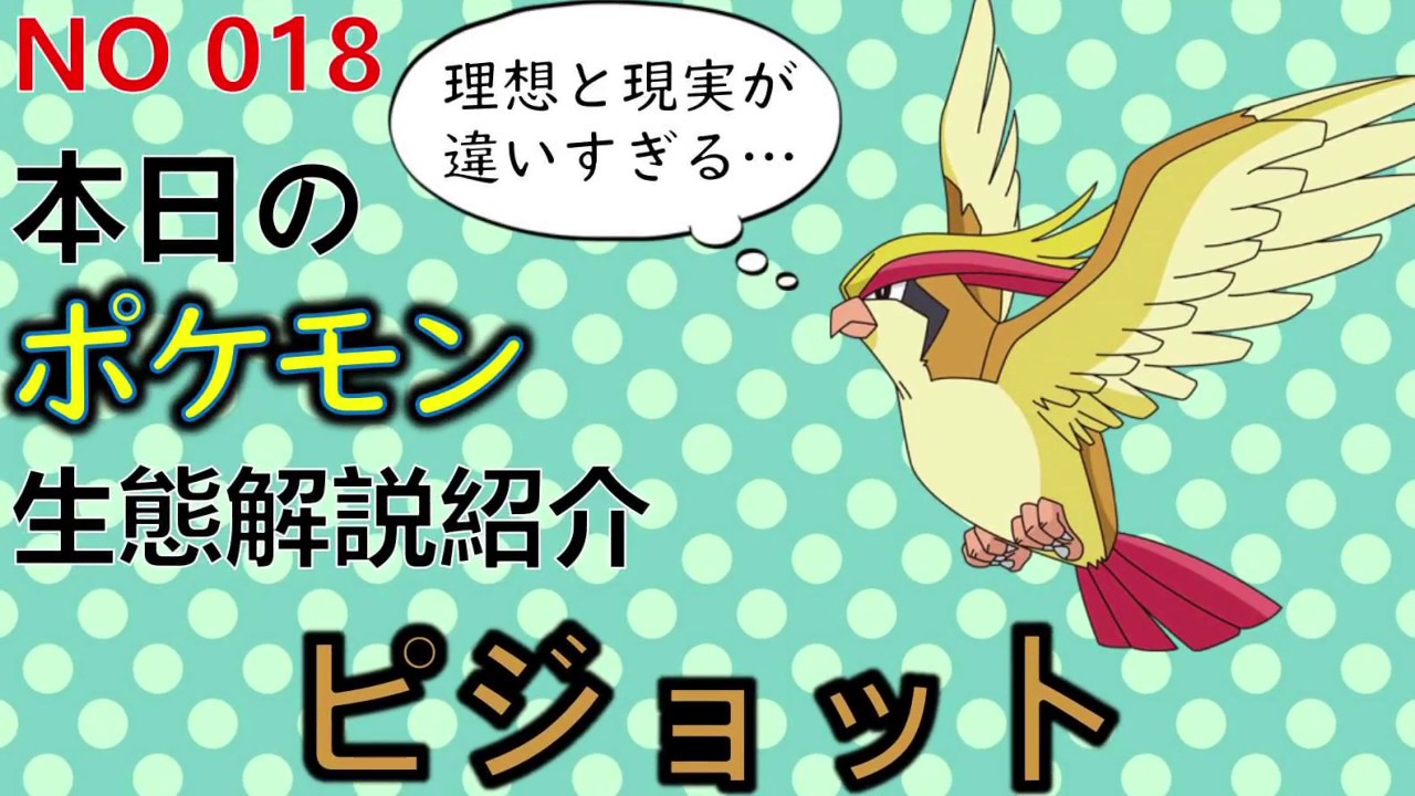 【考察】 「ポケモン解説」サトシに忘れられた ピジョットの生態と小ネタ解説 018「ゆっくり実況ポケモン図鑑」 平日18時30分毎日投稿中！ 【ポケモン図鑑詳細版】