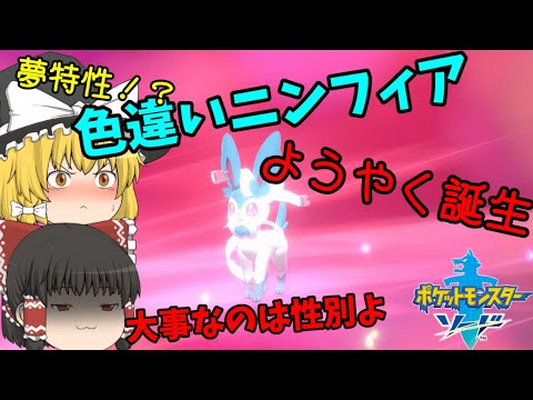 【ポケモン剣盾】色違いニンフィア爆生！！【ゆっくり実況】
