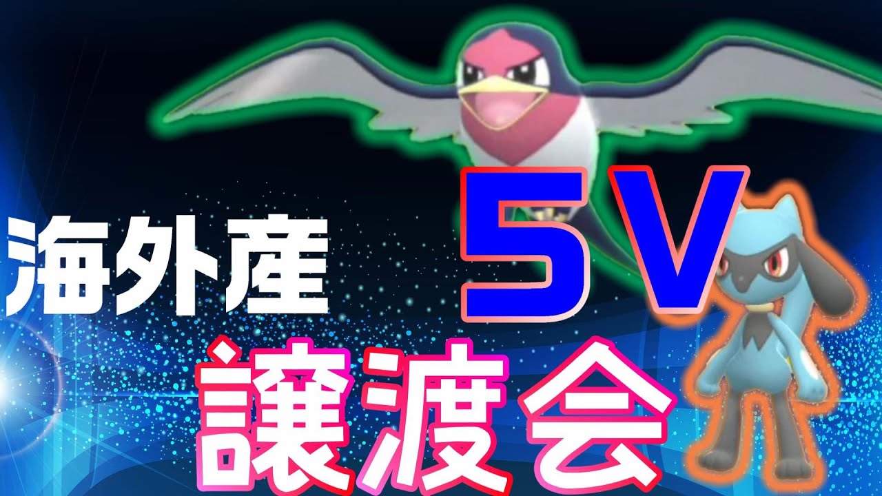 【ダイパリメイク】配布交換会！孵化余り海外産5Vリオル・スバメを配布♪概要欄確認してね♪