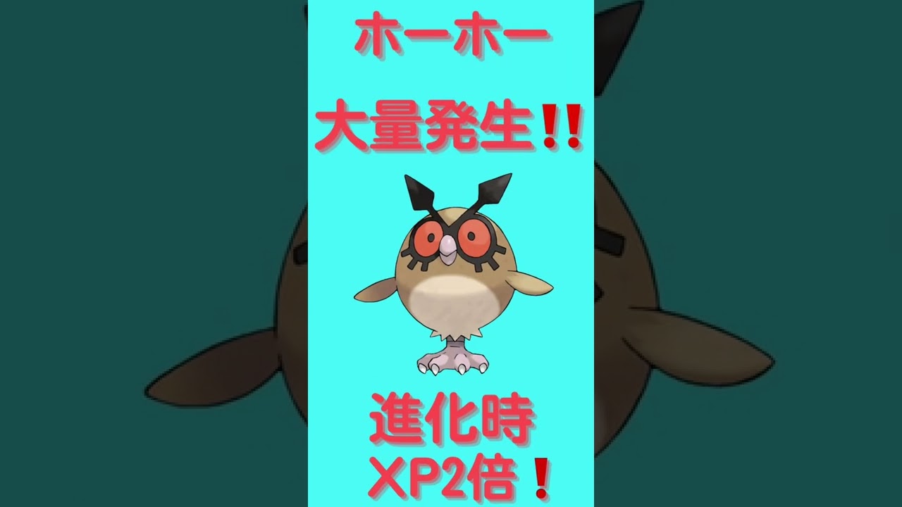 本日のスポットライトアワーはホーホー❗️