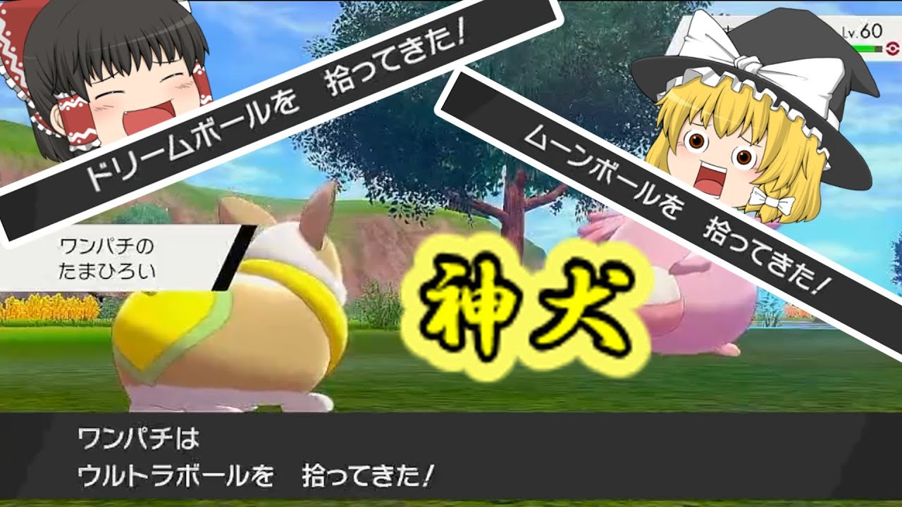 ワンパチの特性「たまひろい」がめちゃくちゃ有能な件について【ポケモン剣盾】【ゆっくり実況】