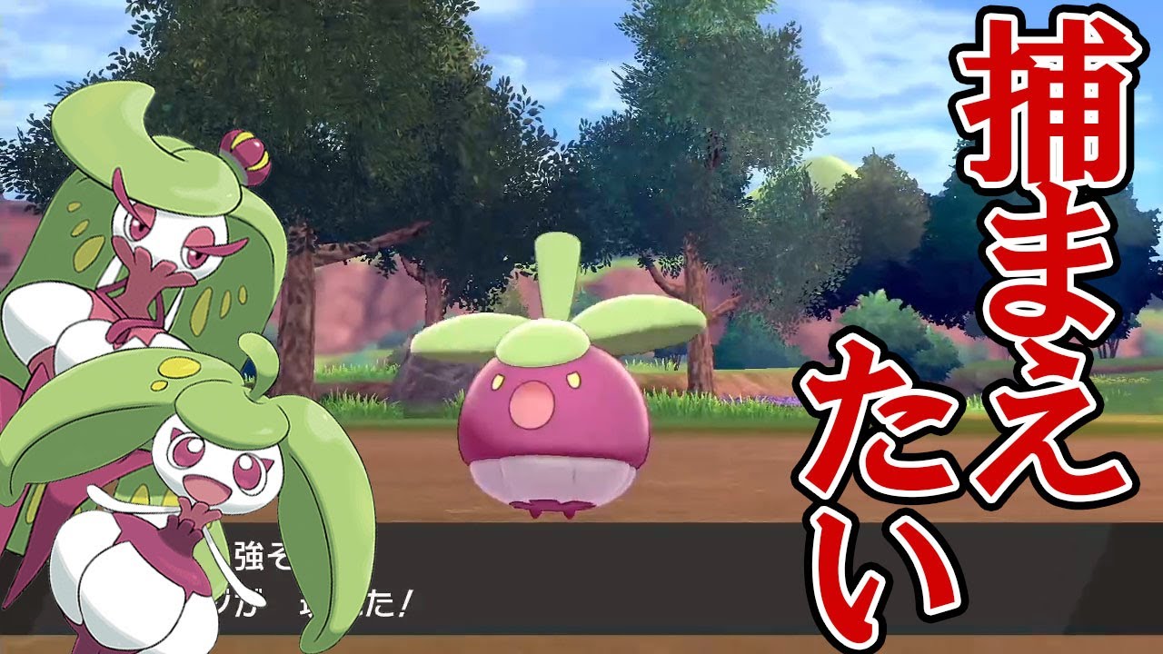 【ポケモン剣】アママイコをゲットしたい　　ポケットモンスター・エロの探究者T-boy　番外編？