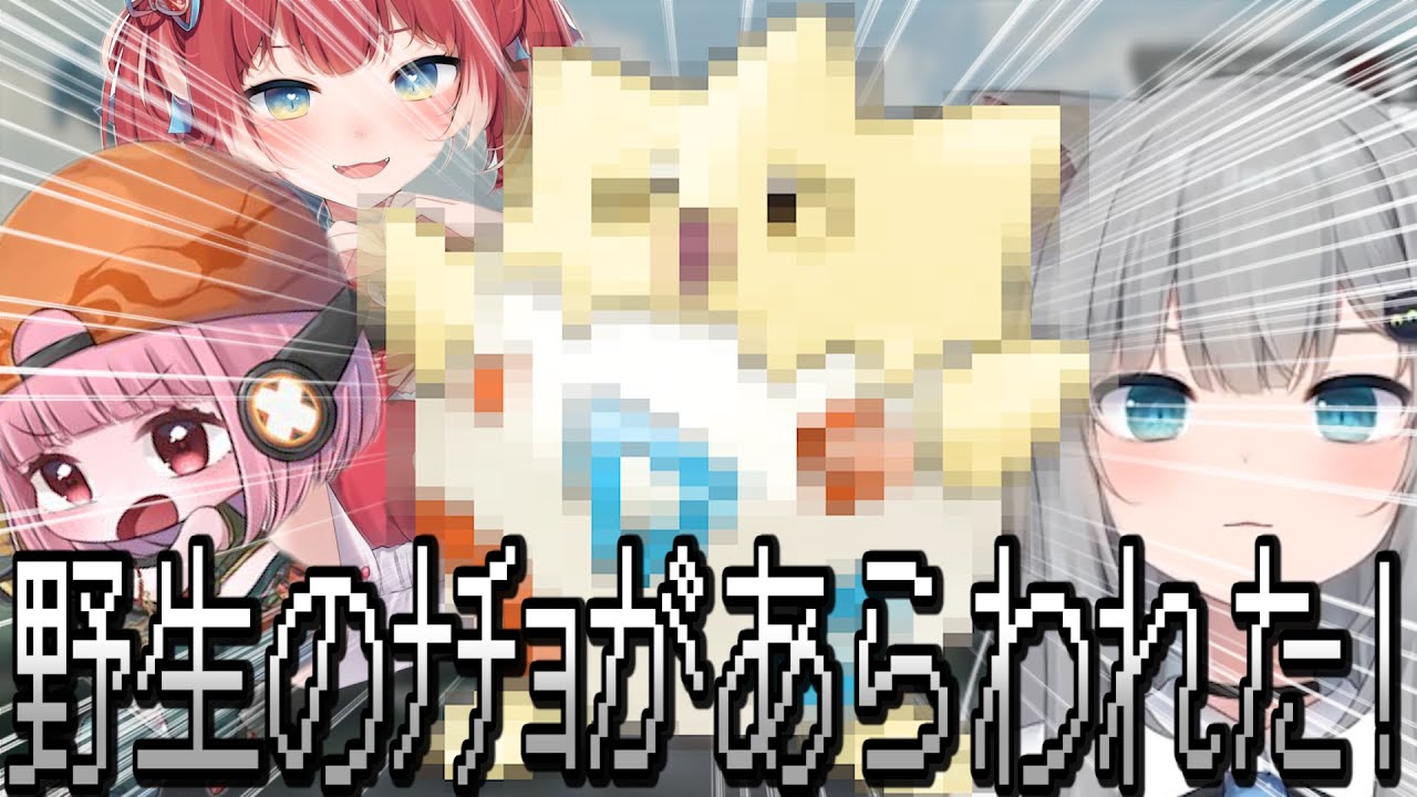 トゲピー声があまりにも超音波すぎて敵を56せる認定されるなちょ猫【なちょ猫/濃いめのあかりん/赤見かるび/ApexLegends/切り抜き】