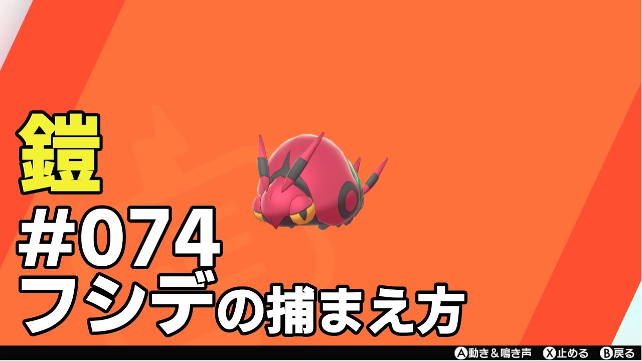 フシデを探している方に見てほしい動画