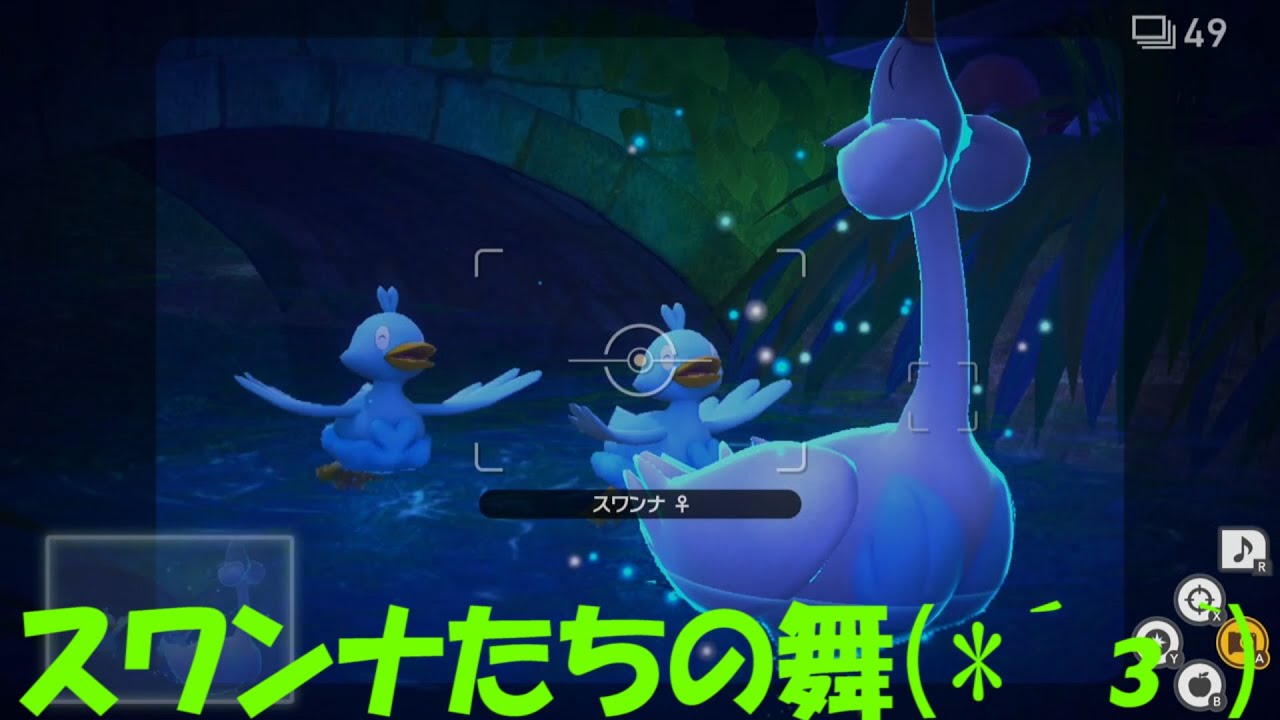 スワンナたちの舞/【ポケモンスナップ】part86 #Shorts