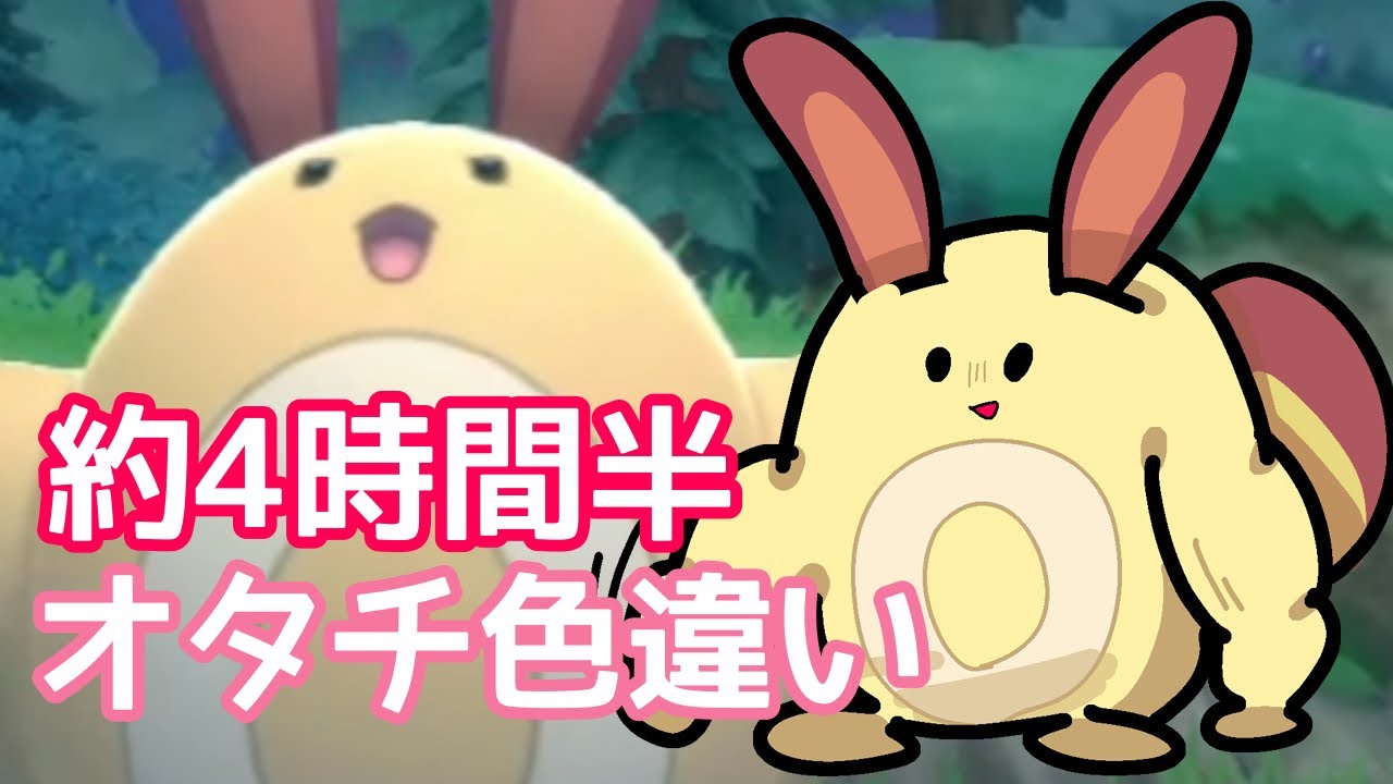 【ダイパリメイク】オタチ色違いきたー！！！！（ムキムキ？）ポケトレ20連鎖