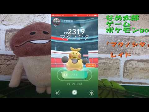 【ポケモンgo】なめ太郎の今日のレイド「マクノシタ」、ゲットだぜ！