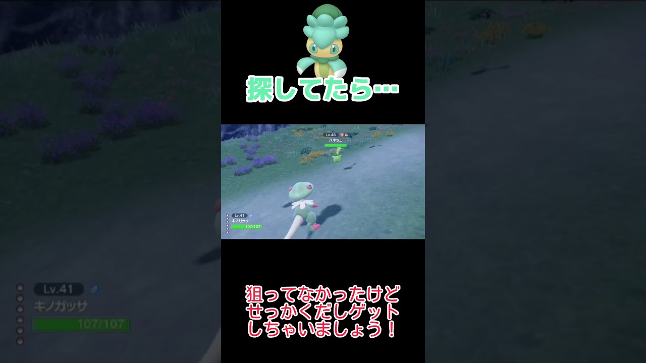 色違いカリキリ探してた時に起きた悲劇【ポケモンSV】