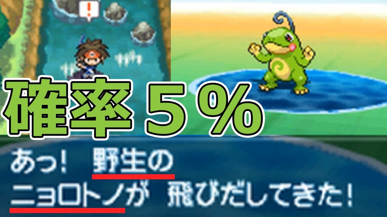 【ポケモンBW2】出現率５％の野生のニョロトノを捕まえる！【ポケモンブラック2・ホワイト2】