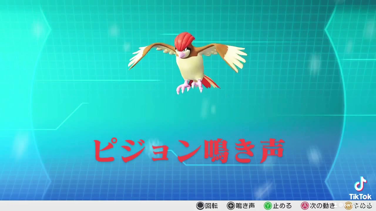 ピカブイ【図鑑NO017】ピジョン鳴き声