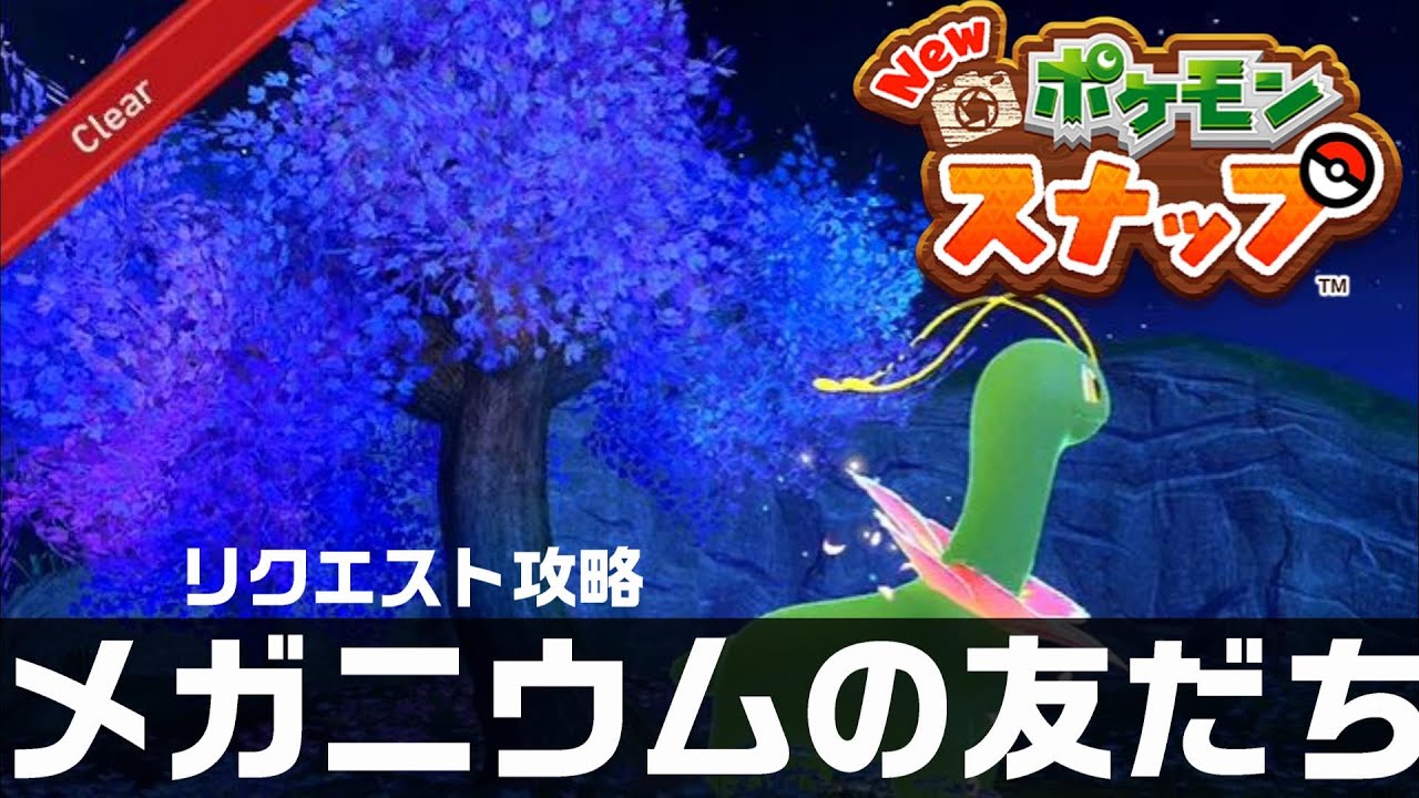 メガニウムの友だち【Newポケモンスナップ・リクエスト攻略】