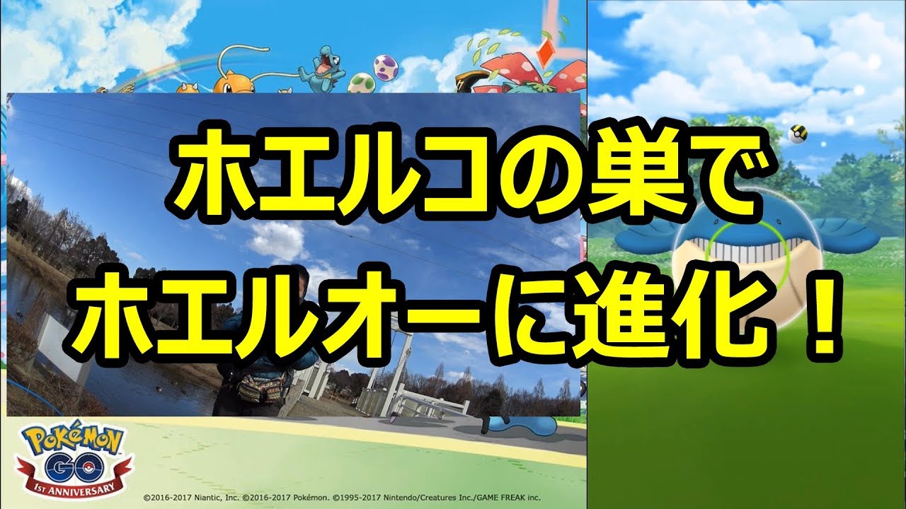 【ポケモンGO】ホエルコの巣でホエルオーに進化！ in 大宮花の丘農林公苑
