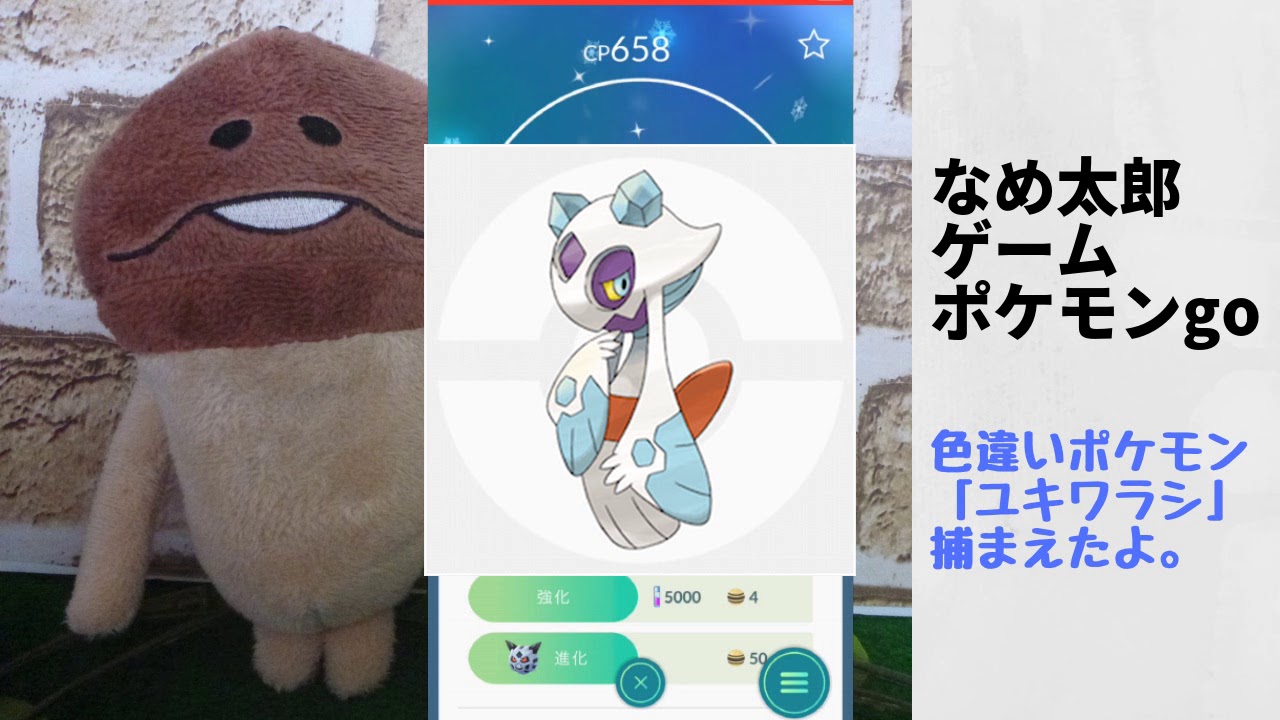 なめ太郎の色違いを見つけたよ！「ユキワラシ」【ポケモンgo】