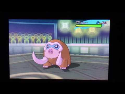 【ポケモンSM】プラスルの逆襲