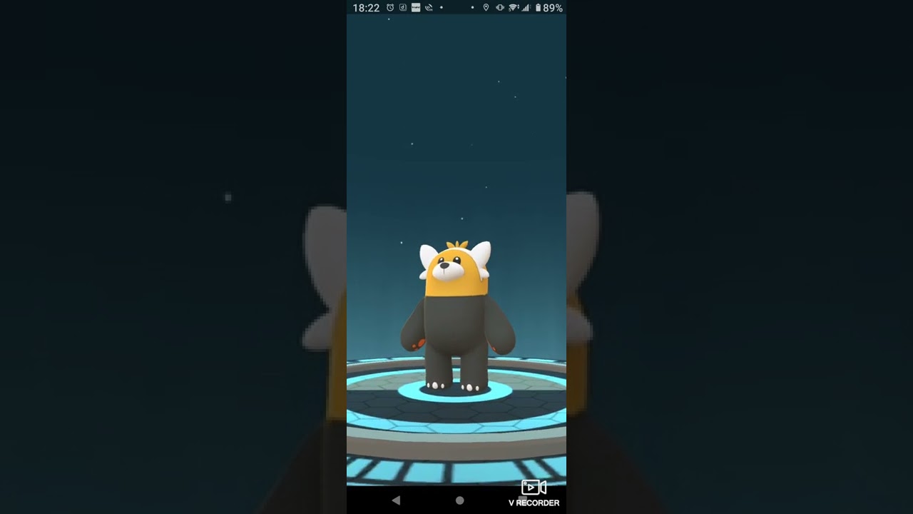 ヌイコグマ 色違い進化❢🐻