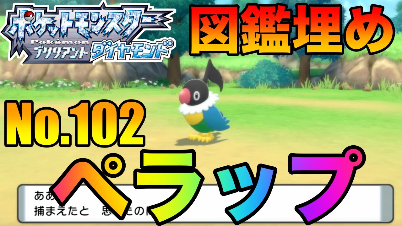 【ダイパリメイク】簡単すぎるペラップ入手法【ポケモンBDSP】