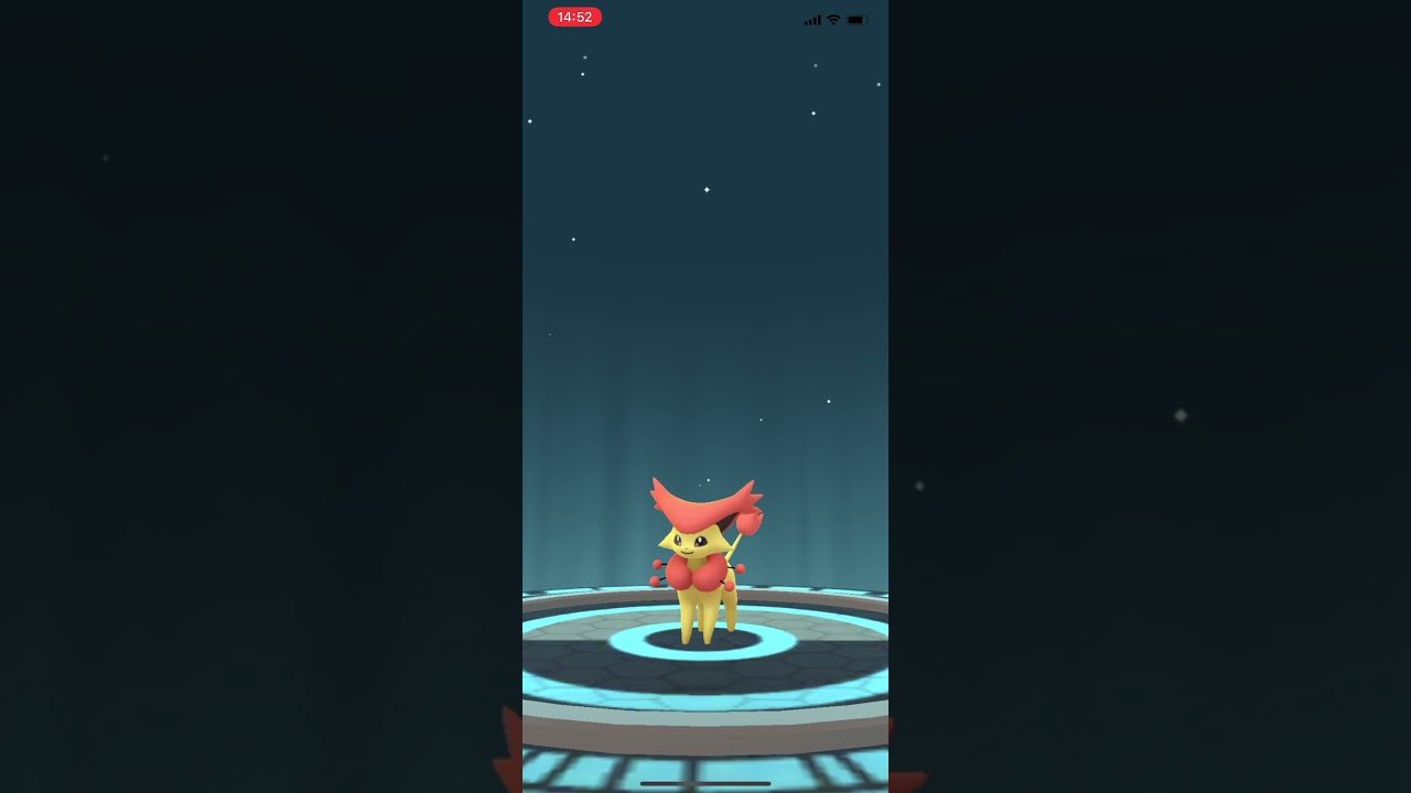 【ポケモンGO】色違いエネコ進化！こっちの方が良き！！