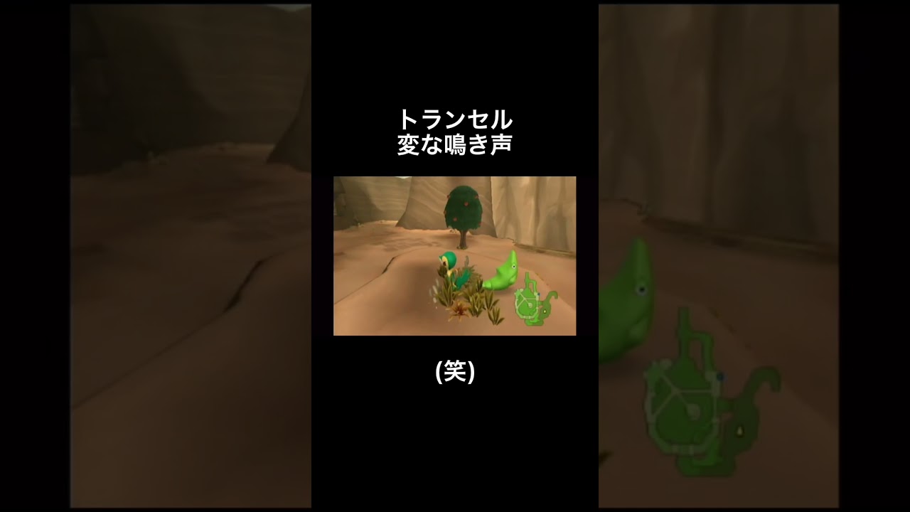 トランセル 変な鳴き声