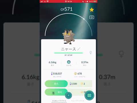 ［ポケモンGO］ガラル 進化「ニャース→ニャイキング」