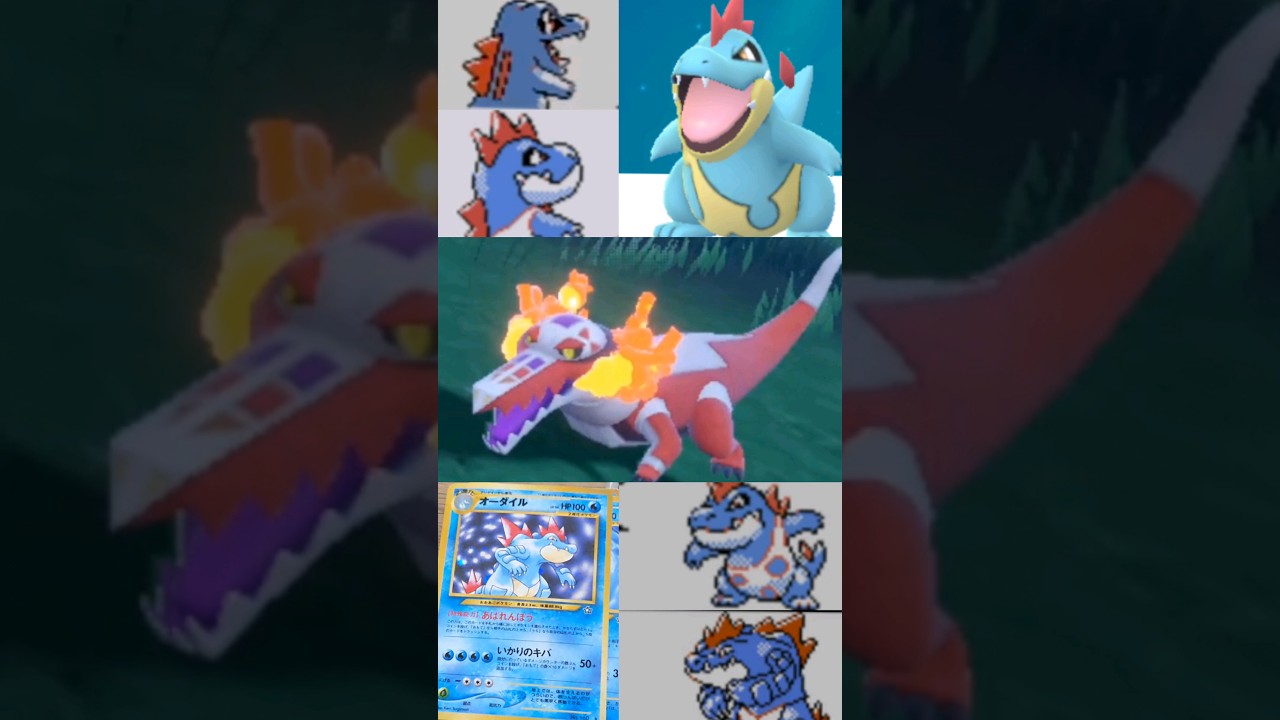 ワニポケモン 見比べた