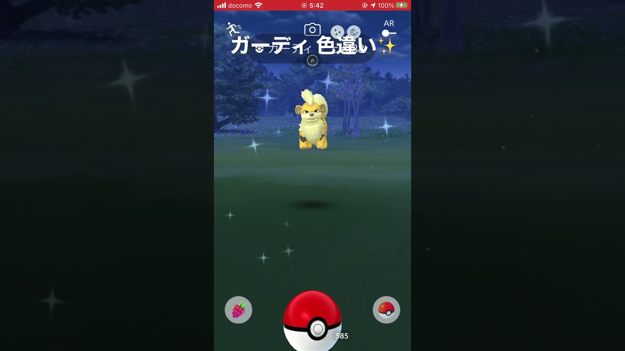 ガーディ 色違い✨