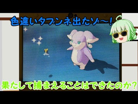 色違いタブンネが出たので捕まえるゾ～！捕獲できるかな？