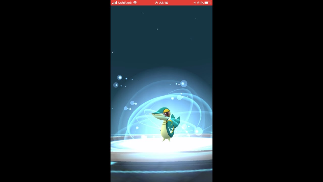 【ポケモンGO】 No.495 ツタージャ（色違い）を進化させてみた！/Pokémon GO No.495 Snivy (shiny) Evolving challenge #shorts