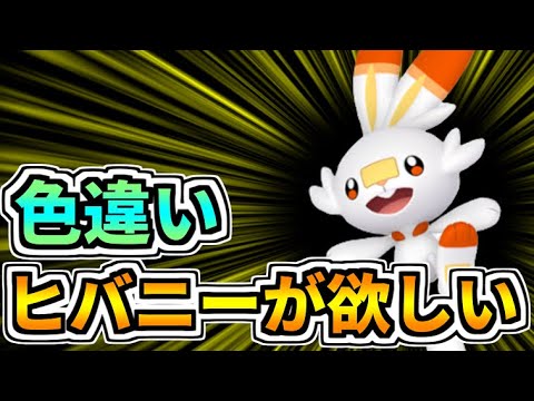 ヒバニーの色違いが欲しい！！【2023/1/1】