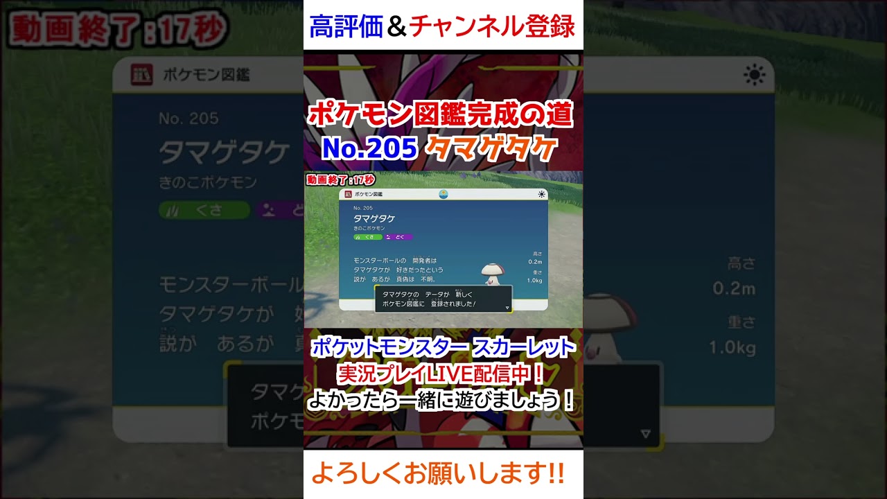 No 205 タマゲタケ図鑑登録完了！【ポケモンSV】