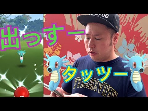 タッツー色違い実装!!欲しすぎるので早朝から探してみた!!【ポケモンGO】