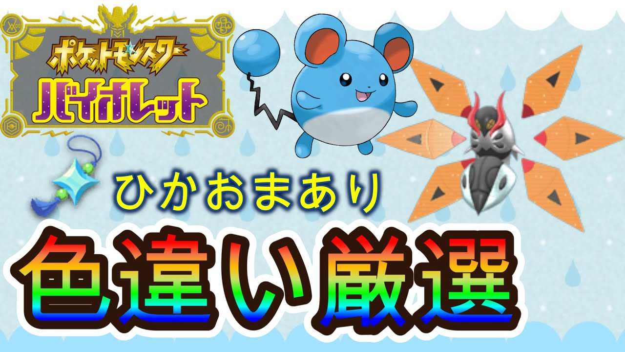 【ひかおま＋輝きパワー】マリルや未来ポケモンの色違いを狙っていく【ポケモンSV】