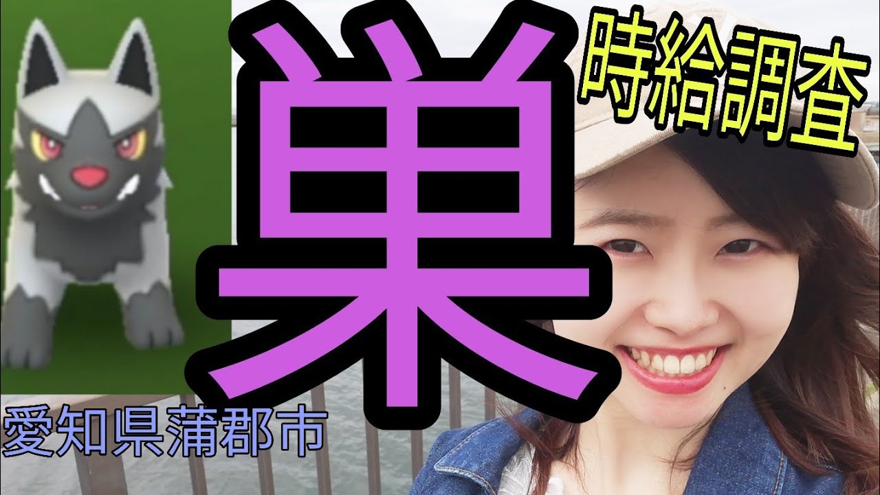 「ポケモンＧＯ」海の町でポチエナ巣時給調査！愛知県蒲郡市