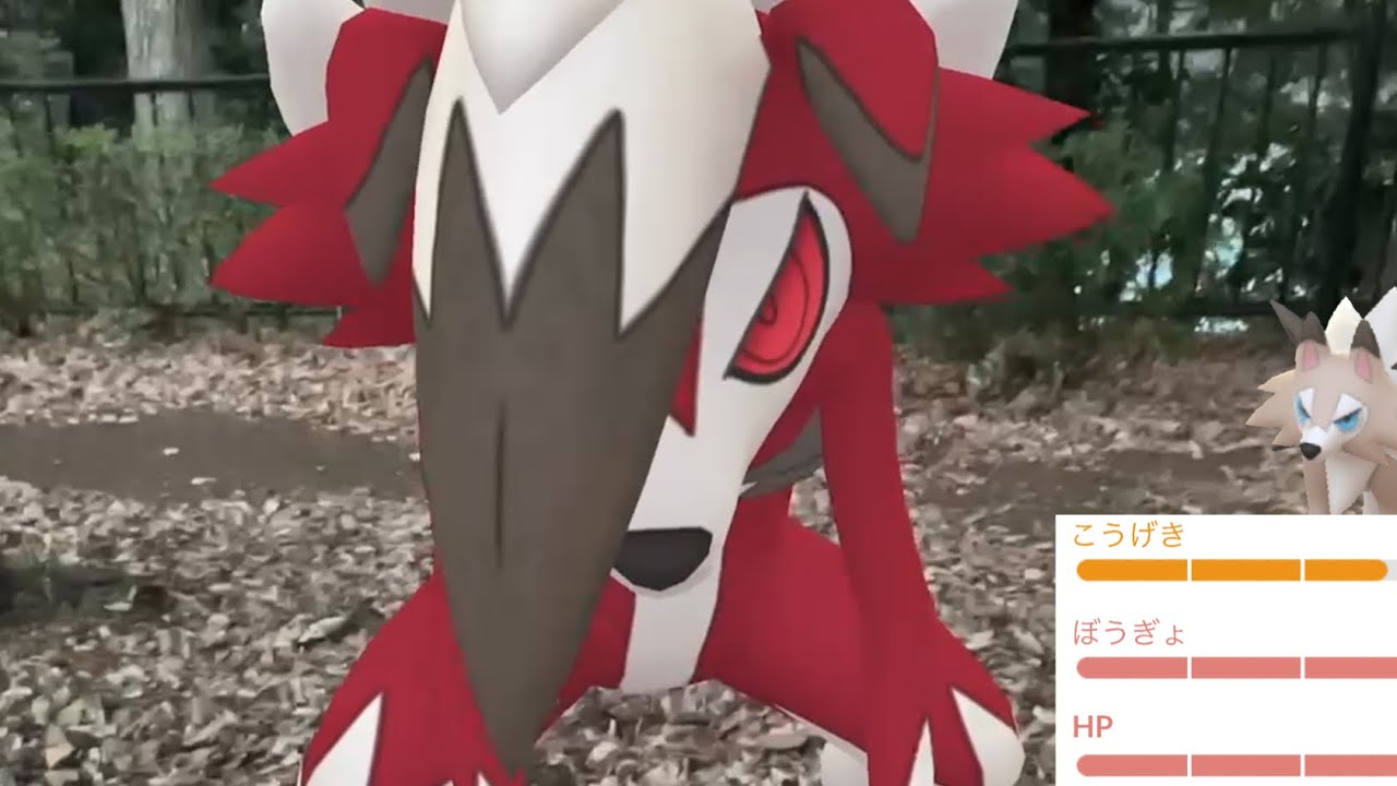 【ポケモンGO】再び奇跡きた！？初日にまさかの最強ルガルガンの誕生とのんびりポケ活・・！【Lycanroc・イワンコ・カプコケコ・アローラシーズン】