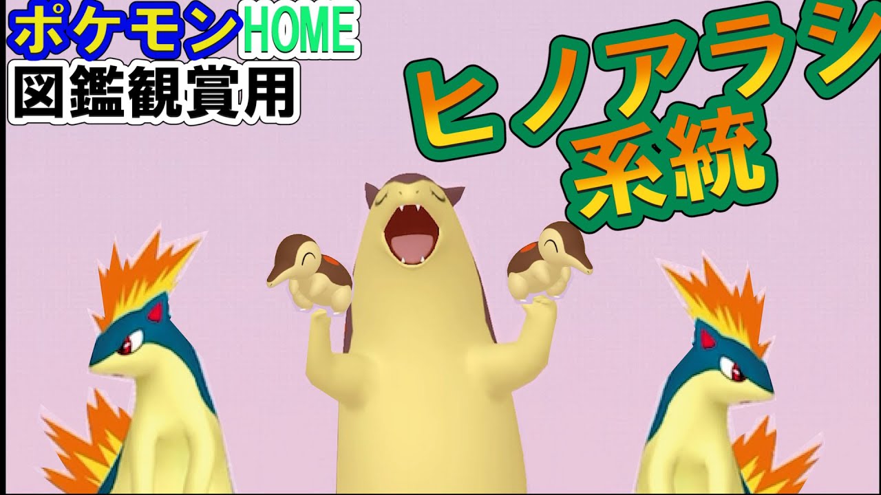 【ポケモンHOME】　図鑑観賞用　ヒノアラシ系統