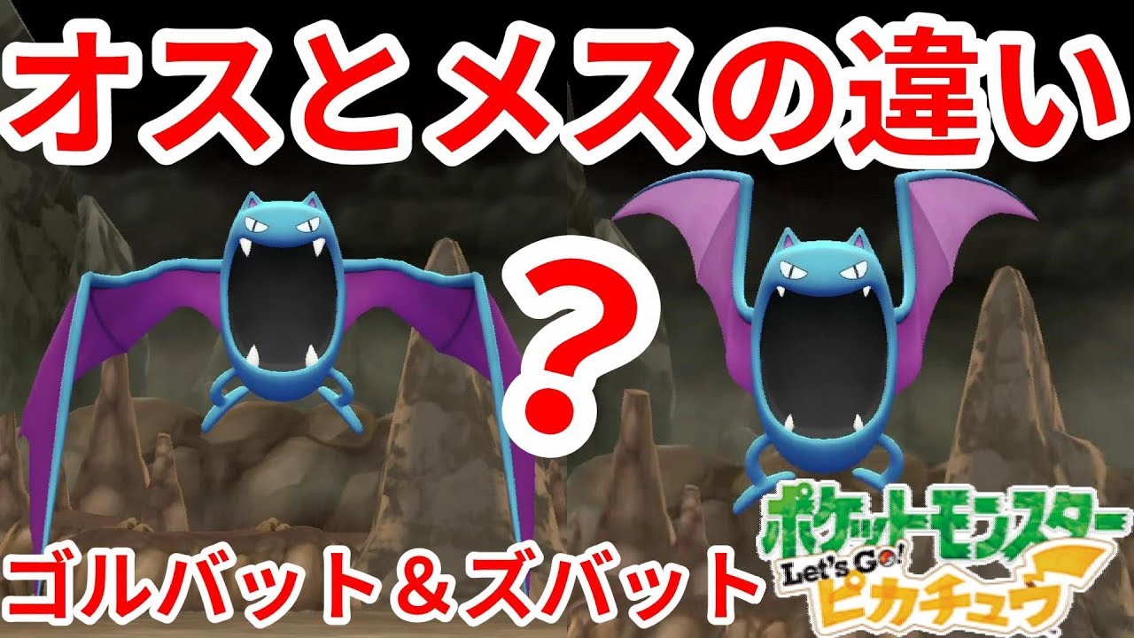 オスとメスはココが違う！ズバットとゴルバットのオスとメスの違い【ポケモンLet'sGO！ピカチュウ】