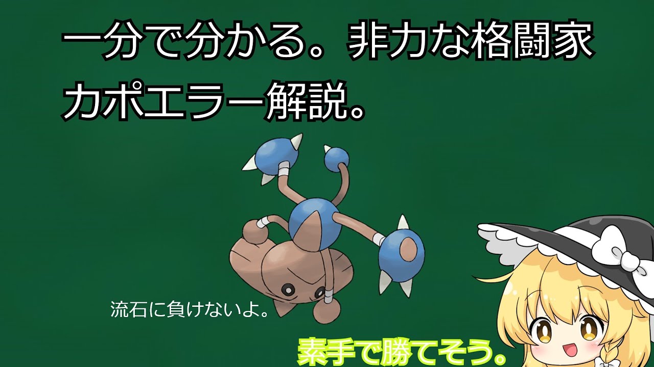 忙しい人のためのカポエラー解説。[ゆっくり解説]