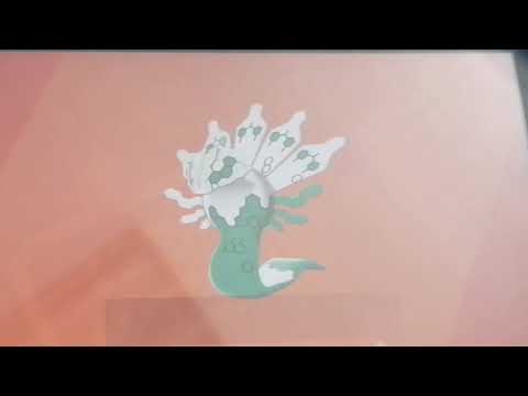 色違いジガルデ出た〜〜〜☝🏾嬉ＣＹ😄からのパーフェクトフォルムジガルデ