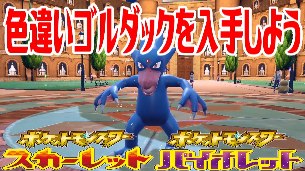 【ポケモンSV】色違いゴルダックを入手しよう 進化入手【ポケットモンスター スカーレット・バイオレット】Pocket Monsters