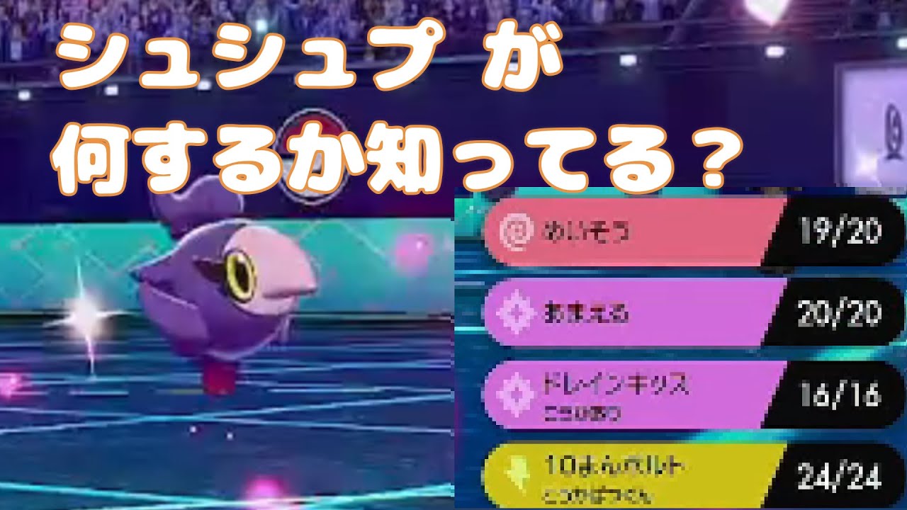 君はシュシュプの頑張りを目の当たりにしたことはあるかい？