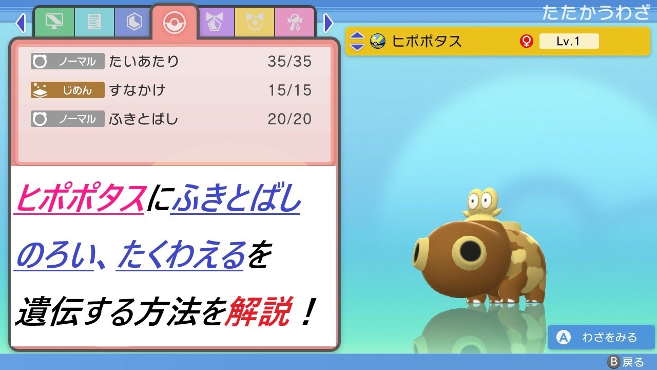 【ポケモン　ダイパリメイク】ヒポポタスにふきとばし、たくわえる、のろいを遺伝する方法を解説します！！【ポケモンBDSP】