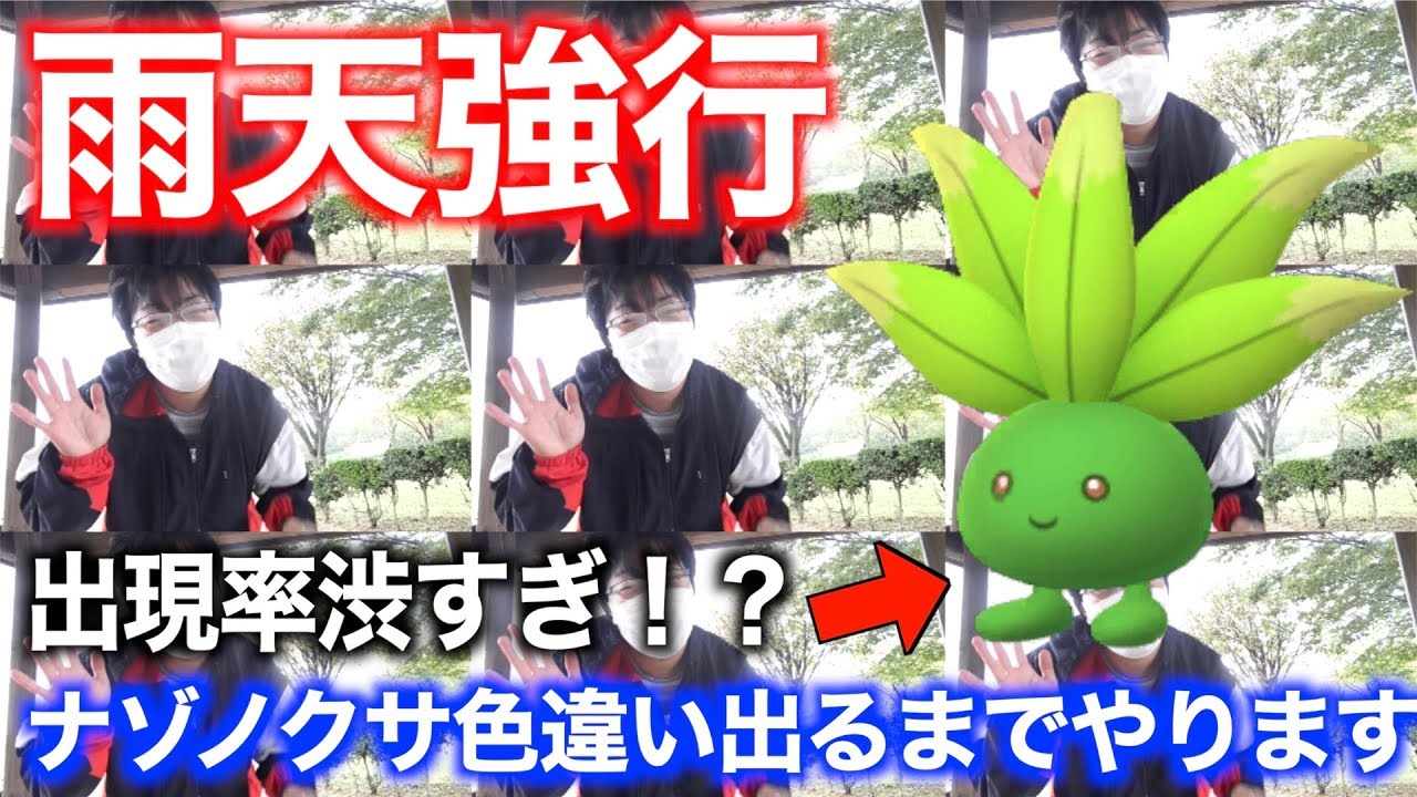 雨天暴風ナゾミラクル！ナゾノクサ色違いを出すまで悪天候の中戦う謎の魔法使い【ポケモンGO】