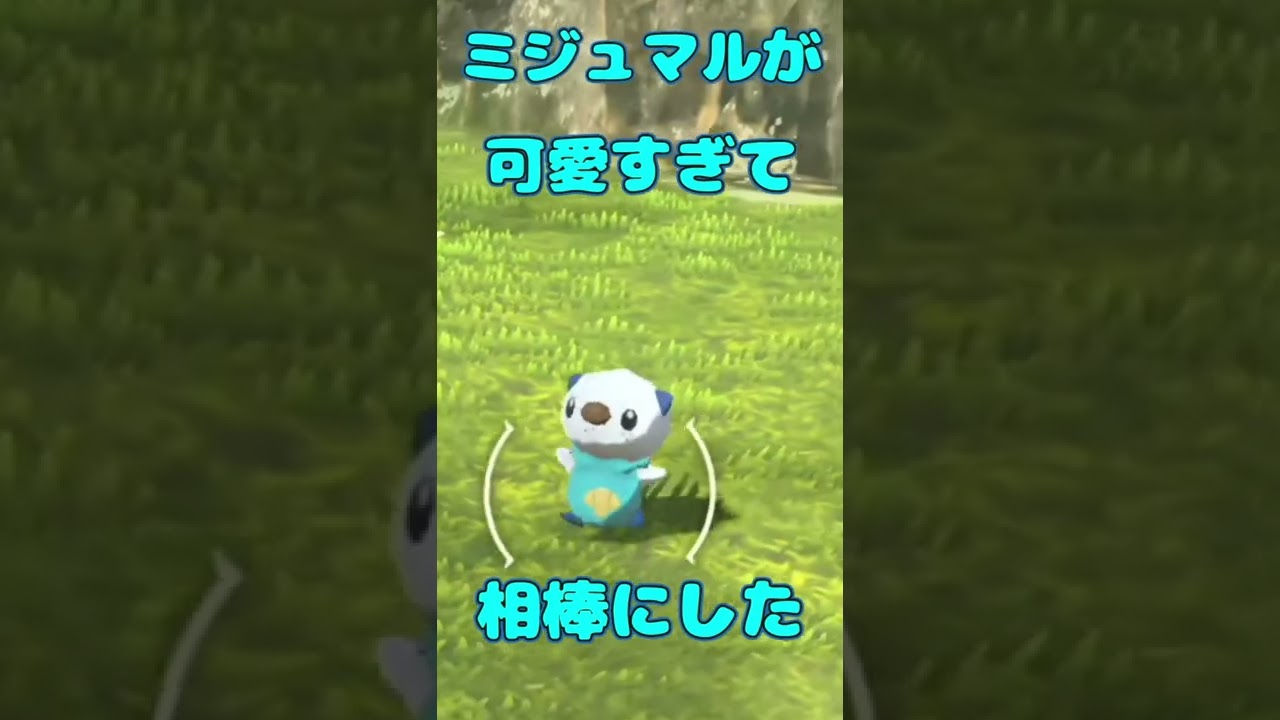 ミジュマル！君に決めた！！ ＃shorts