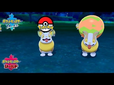 【ワンパチだらけのキャンプ場】おもちゃで遊んで・カレー作ってみた（ポケットモンスター ソード・シールド）