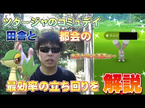 【ポケモンGO】色違いホルビー出現！コミュニティデイをもっと効率的にガチるための重要ポイントを解説中に色違いホルビーが...。【都会と田舎の差】shiny Bunnelby Diggersby