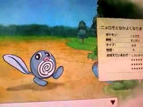 ポケモンドリームワールド　すいすいニョロモ♀