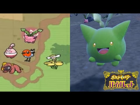 ハネッコの大量発生！？これは色違いを狙うしかない！【ポケモンSV】