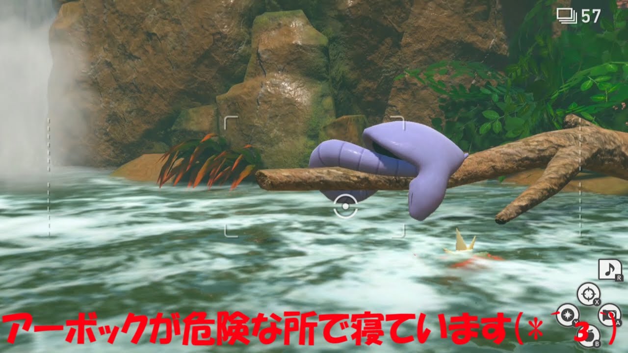 アーボックが寝ている(=_=)/【ポケモンスナップ】part70 #Shorts