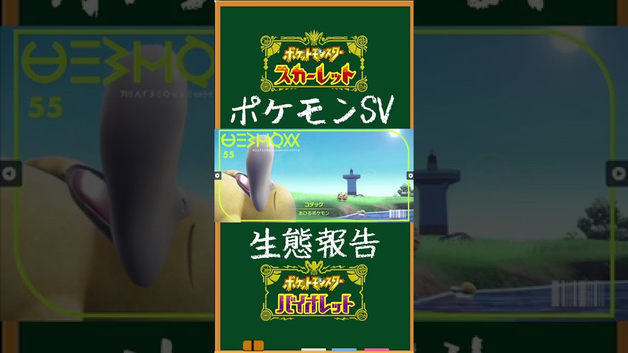 【ポケットモンスタースカーレット・バイオレット】ポケモン生態報告:コダック【ポケモンSV】#Shorts