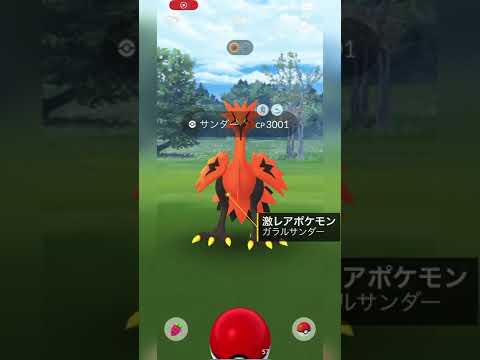 【ポケモンGO】ガラルサンダーきたああぁぁぁぁぁ【ガラル三鳥】 #shorts